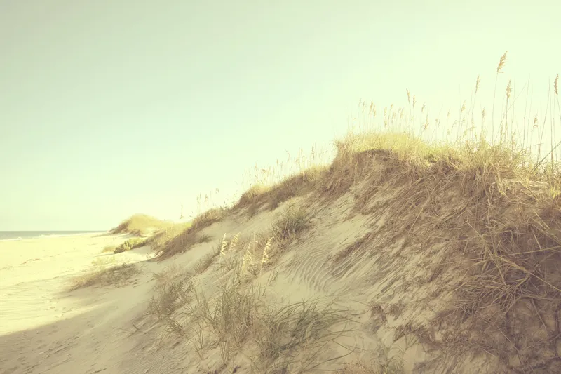 Sand dunes and sea grass at Cape Hatteras National Seashore near Buxton, with the wide sandy beach stretching into the distance