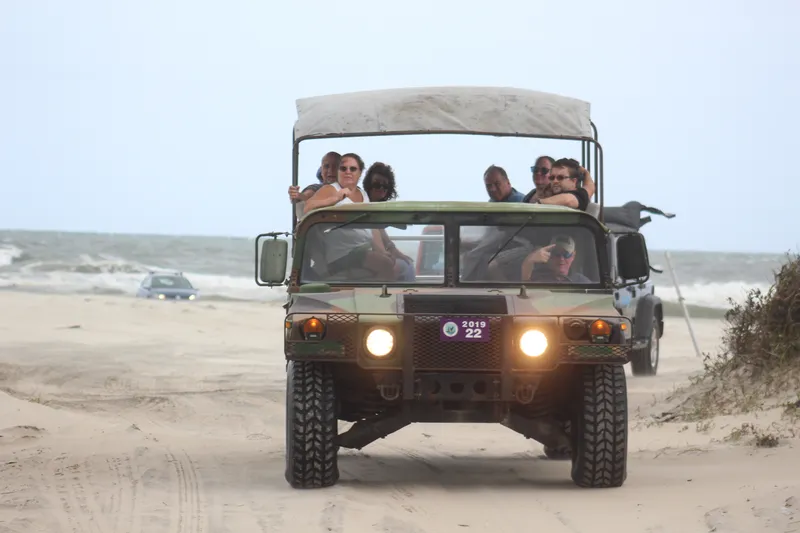 Wild horse standing near a 4WD tour vehicle on the beach at Carova, Outer Banks NC, during a wild horse adventure tour