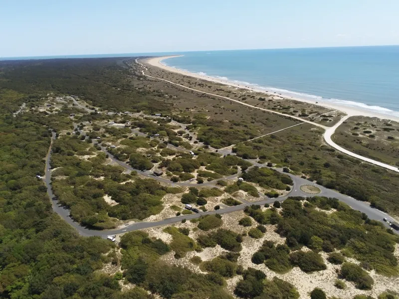 Frisco Campground nestled among maritime shrubs and trees at Cape Hatteras National Seashore with sandy paths between campsites